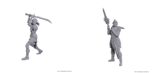 D&D Nolzur's Marvelous Miniatures: Special Edition Baldur's Gate 3 — Lae'zel & Shadowheart
