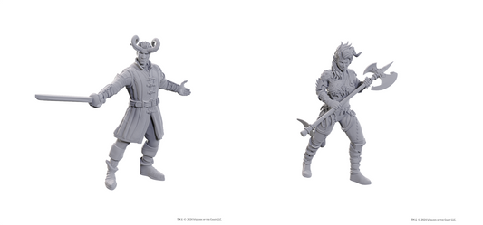 D&D Nolzur's Marvelous Miniatures: Special Edition Baldur's Gate 3 — Wyll & Karlach