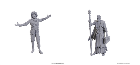 D&D Nolzur's Marvelous Miniatures: Special Edition Baldur's Gate 3 — Volo & Withers