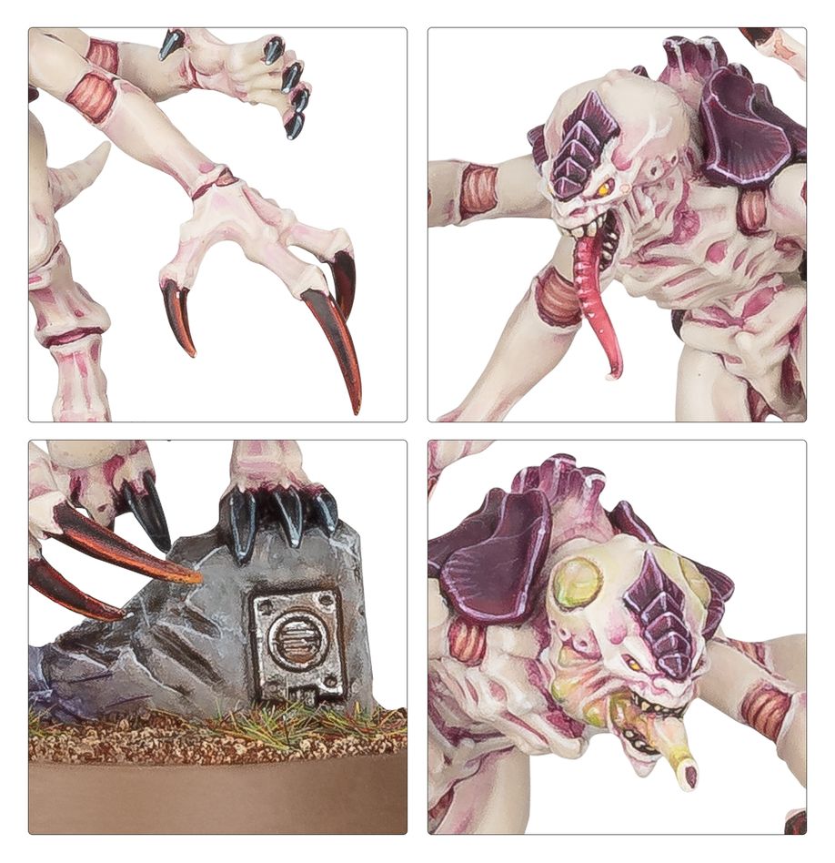 Warhammer 40.000 - Tyranids - Sturmrotte der Tyraniden (73-511)