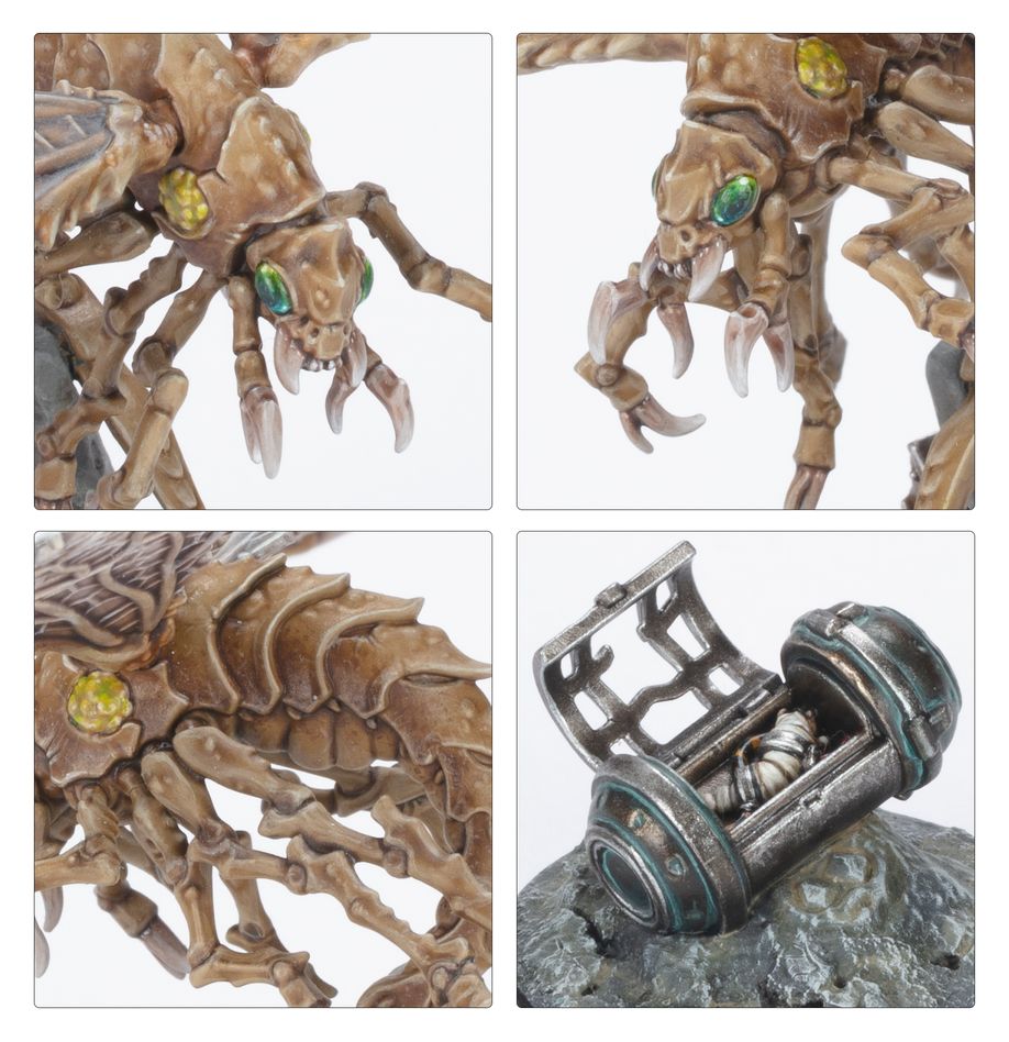 Necromunda: Nomads Ashwing Helamites (301-60)