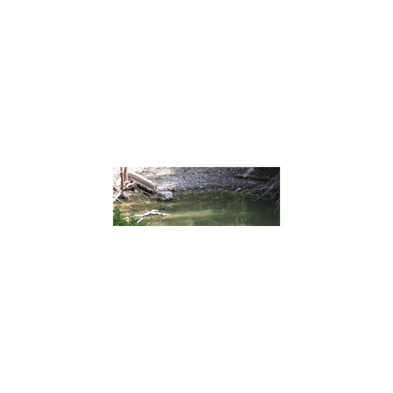 Vallejo Diorama FX - Still Water Clear (26.230)