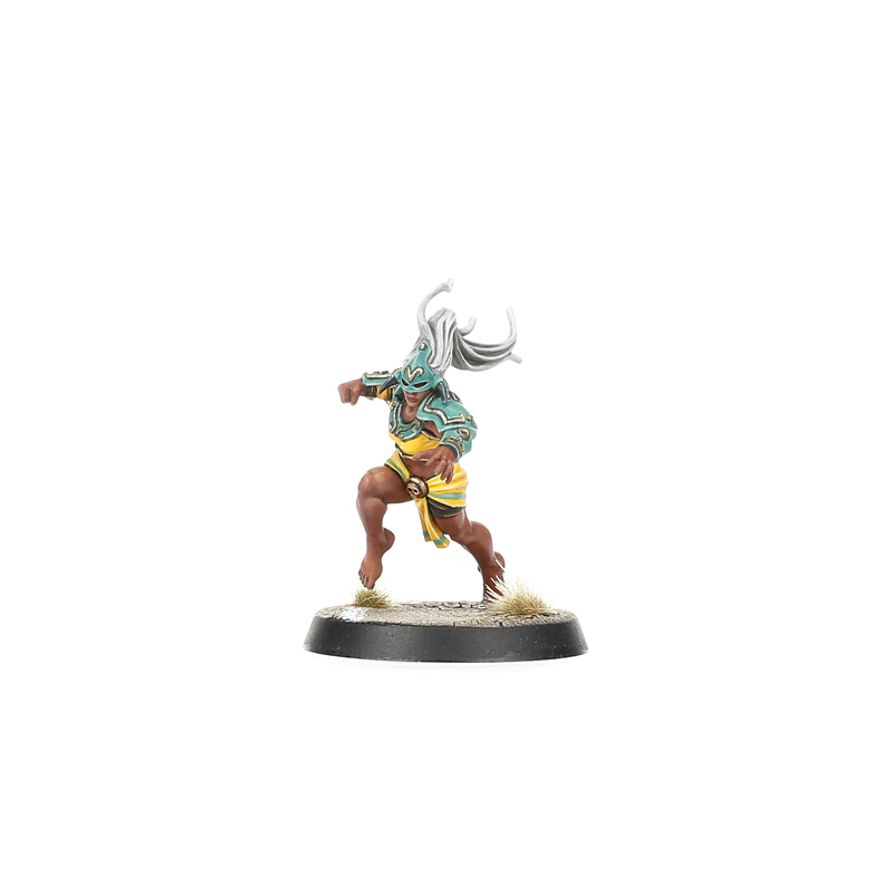Blood Bowl - Amazon Blood Bowl Team: Kara Temple Harpies (202-26)