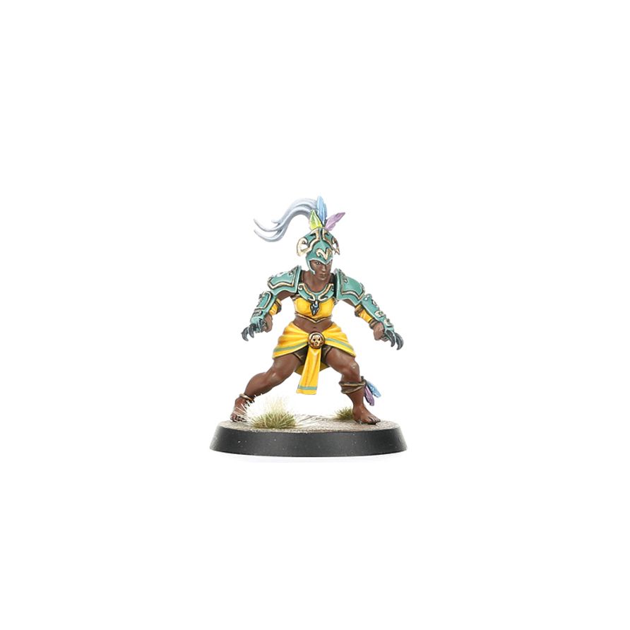 Blood Bowl - Amazon Blood Bowl Team: Kara Temple Harpies (202-26)