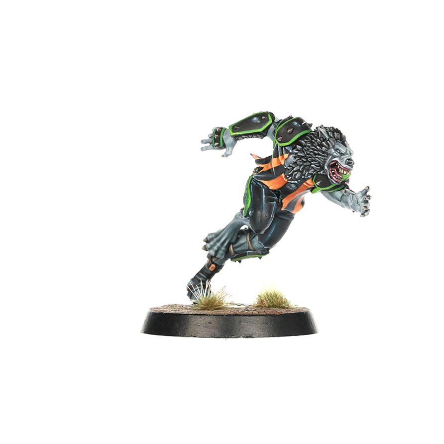 Blood Bowl - Necromantic Horror Blood Bowl Team: The Wolfenburg Crypt-Stealers (202-07)