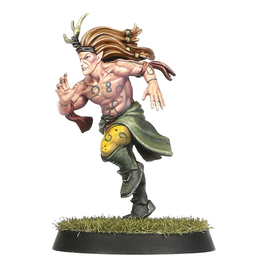 Blood Bowl - Wood Elf Blood Bowl Team – Athelorn Avengers (200-66)