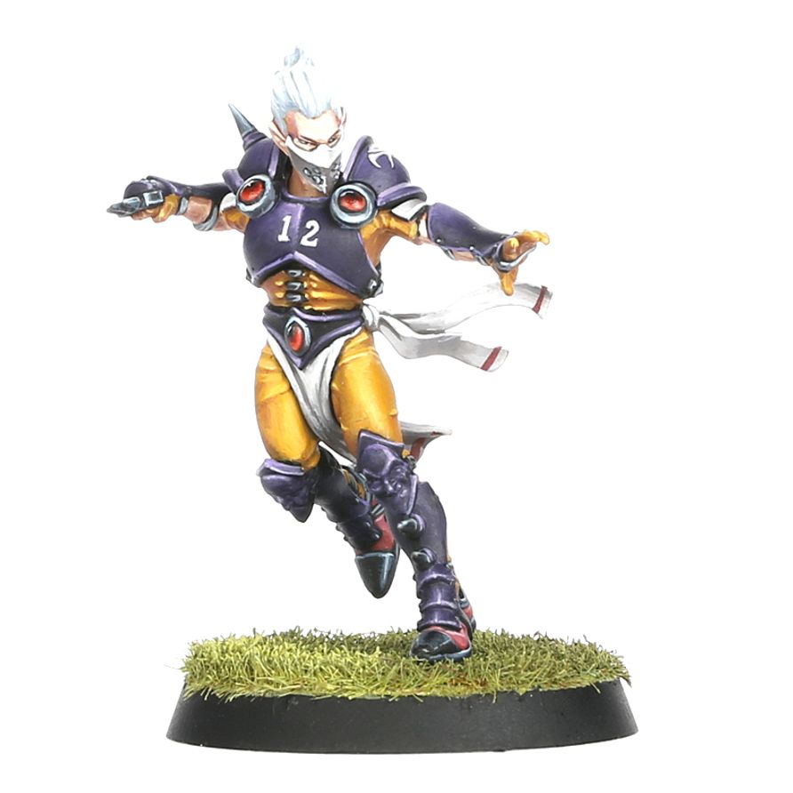 Blood Bowl - Elven Union Blood Bowl Team: The Elfheim Eagles (200-36)