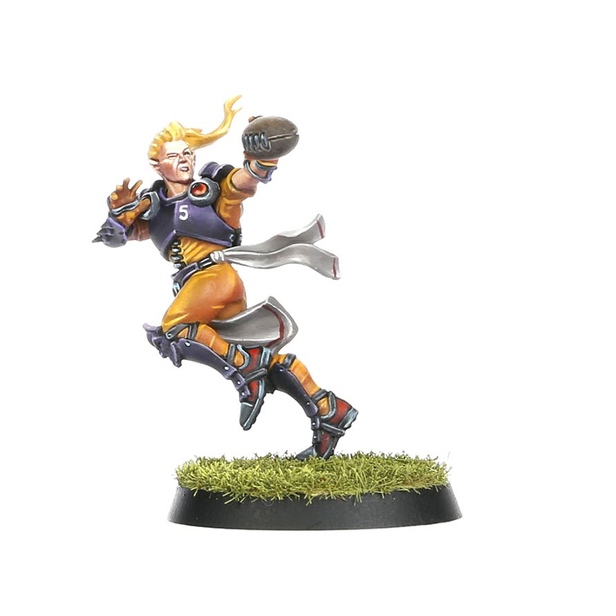 Blood Bowl - Elven Union Blood Bowl Team: The Elfheim Eagles (200-36)