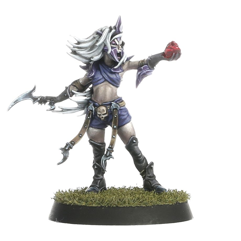 Blood Bowl - Dark Elf Blood Bowl Team – Naggaroth Nightmares (200-54)