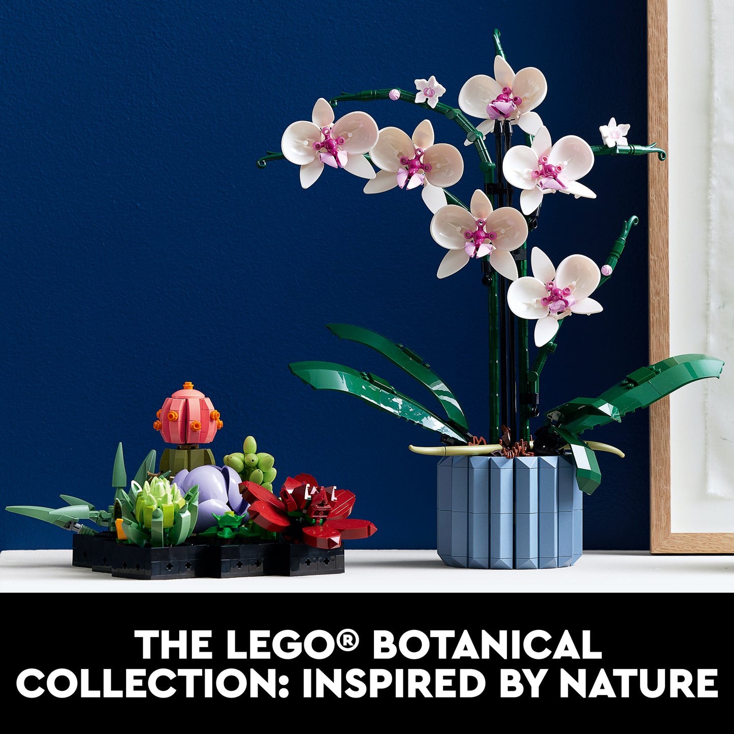 LEGO® Icons (Creator Expert) 10311 Orchidee