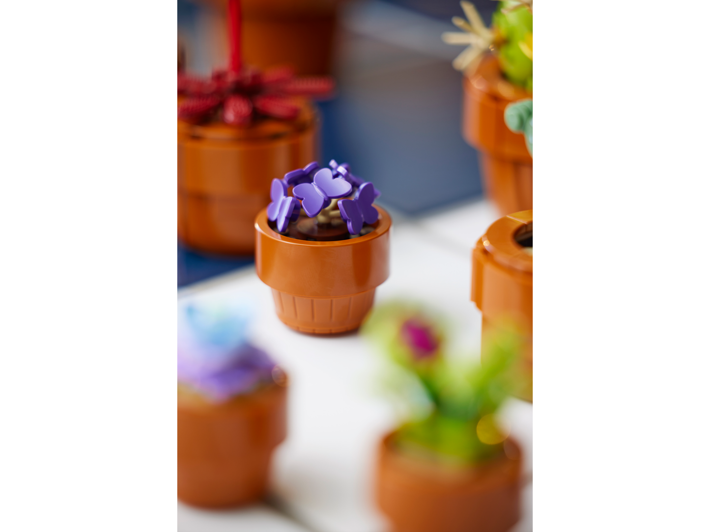 LEGO® Icons 10329 Mini Pflanzen