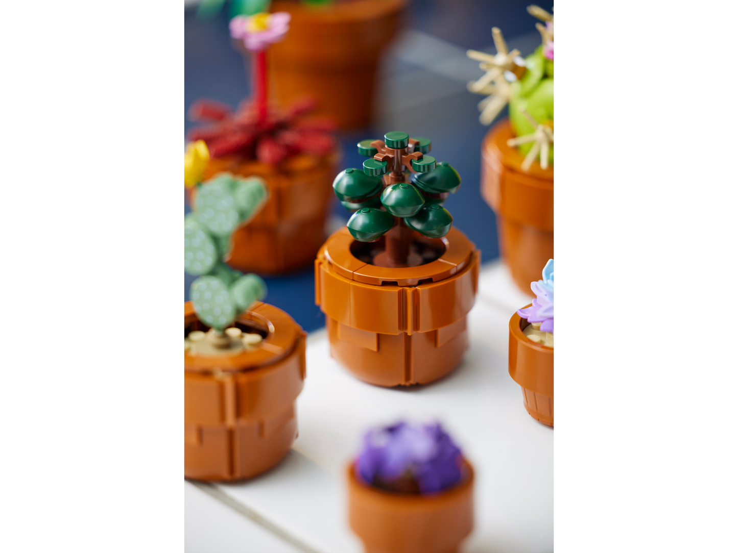 LEGO® Icons 10329 Mini Pflanzen