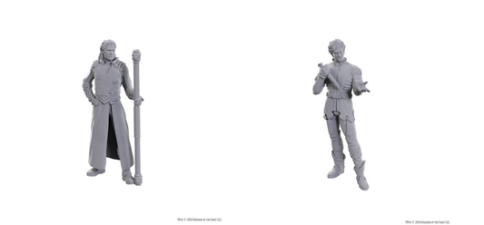 D&D Nolzur's Marvelous Miniatures: Special Edition Baldur's Gate 3 — Gale & Astarion
