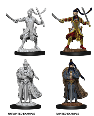 D&D Nolzur’s Marvelous Miniatures: Male Elf Paladin