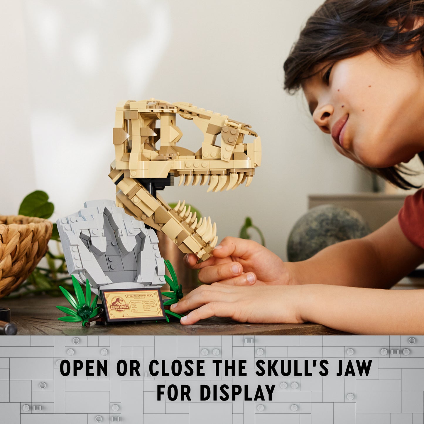 LEGO® Jurassic World 76964 Dinosaurier-Fossilien: T.-Rex-Kopf