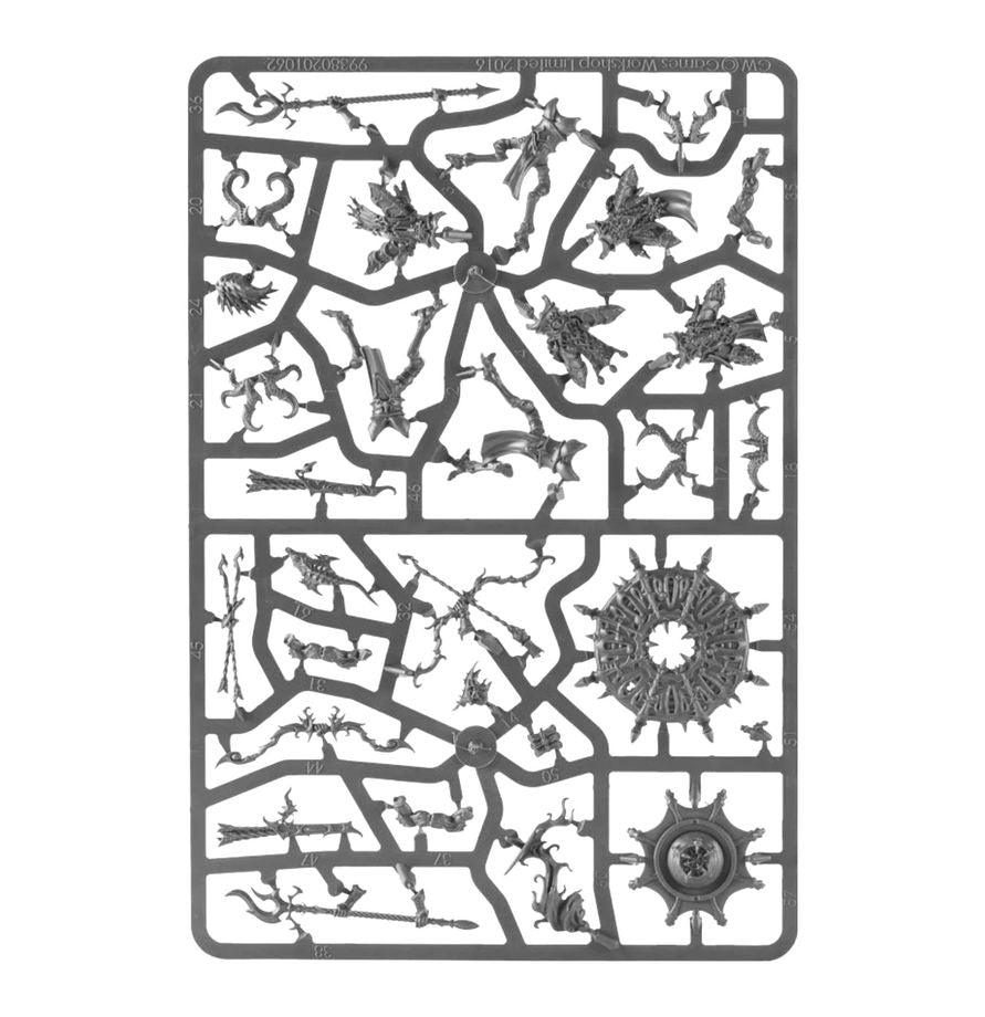 Warhammer Age of Sigmar - Disciples of Tzeentch - Tzaangor Warflock (70-839)