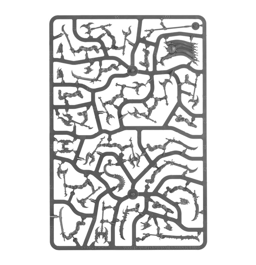 Warhammer Age of Sigmar - Disciples of Tzeentch - Tzaangor Warflock (70-839)