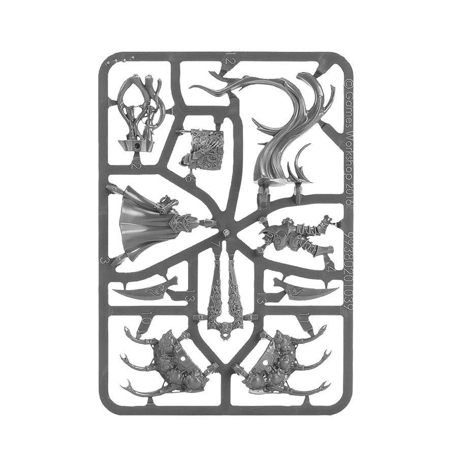 Warhammer Age of Sigmar - Disciples of Tzeentch - Seeker of Silver (83-108)