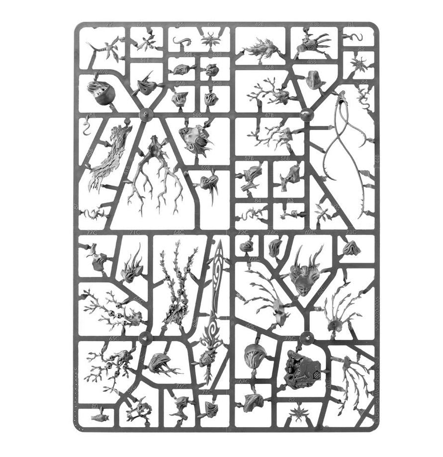 Warhammer Age of Sigmar - Grand Alliance Order - Sylvaneth - Strongroot Grove (92-32)