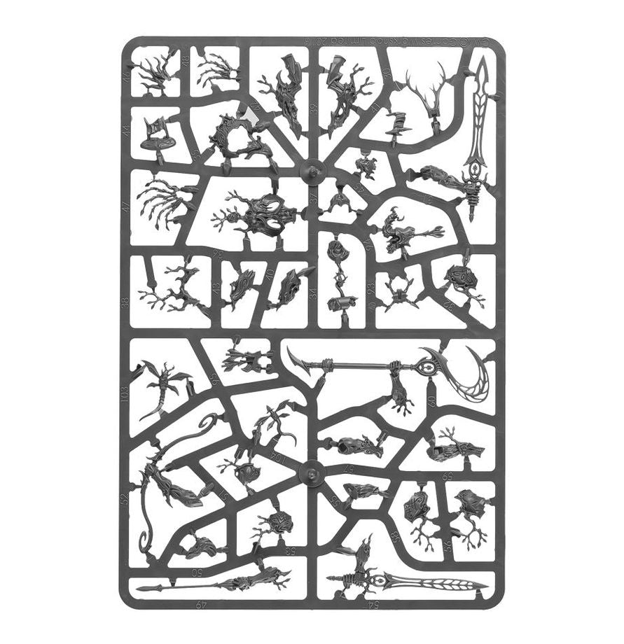 Warhammer Age of Sigmar - Grand Alliance Order - Sylvaneth - Strongroot Grove (92-32)