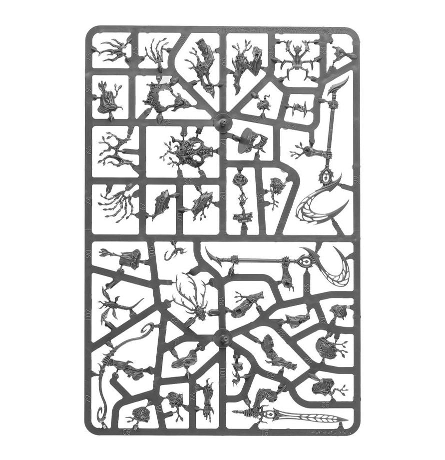 Warhammer Age of Sigmar - Grand Alliance Order - Sylvaneth - Kurnoth Hunter (92-13)