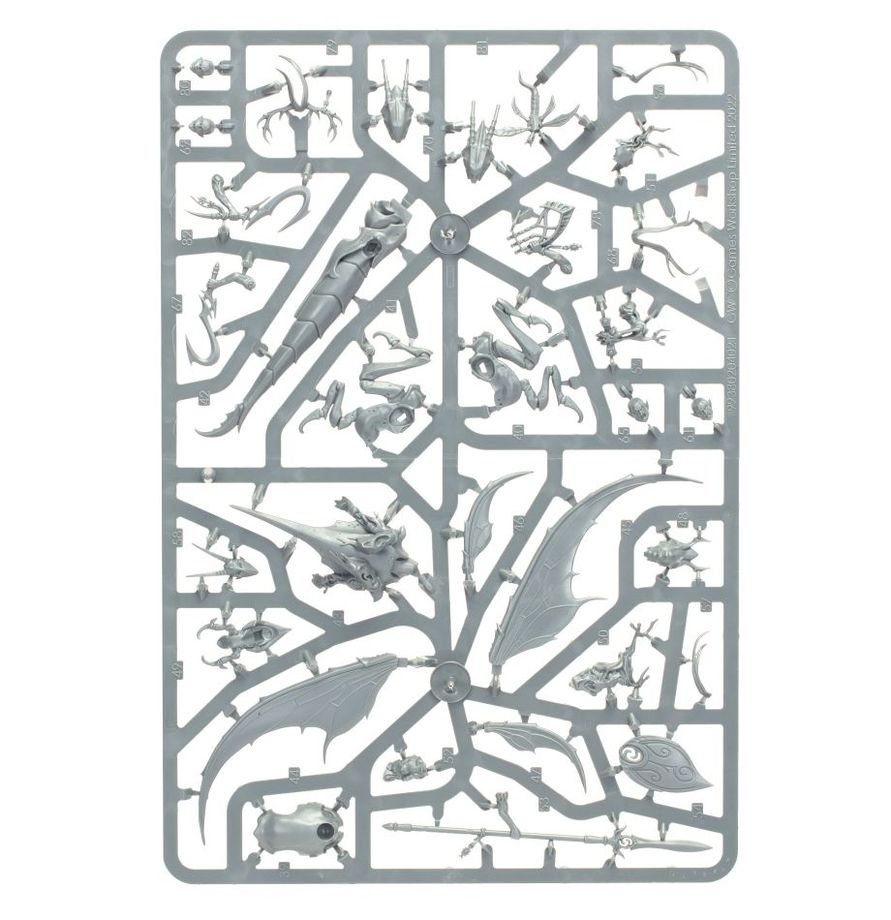 Warhammer Age of Sigmar - Grand Alliance Order - Sylvaneth - Spitewing Flight (70-922)