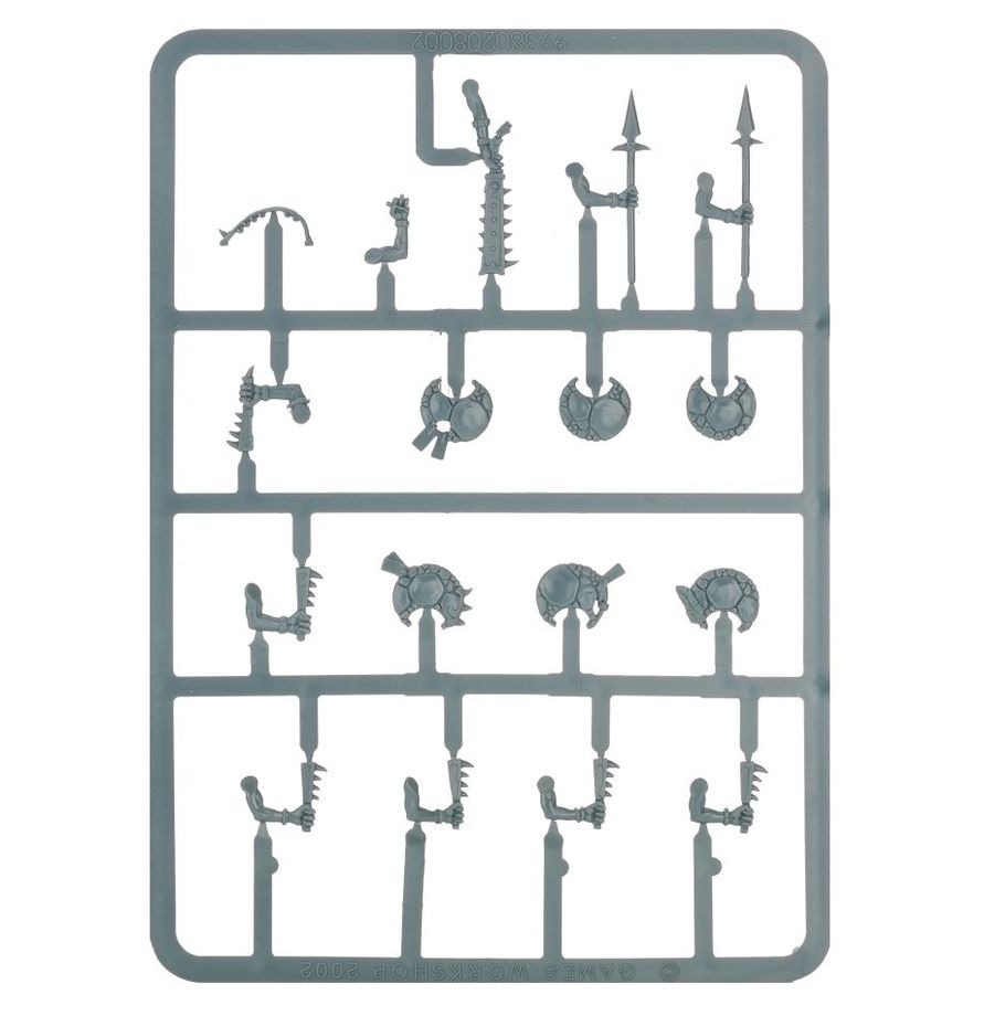 Warhammer Age of Sigmar - Seraphon - Skinks (88-07)