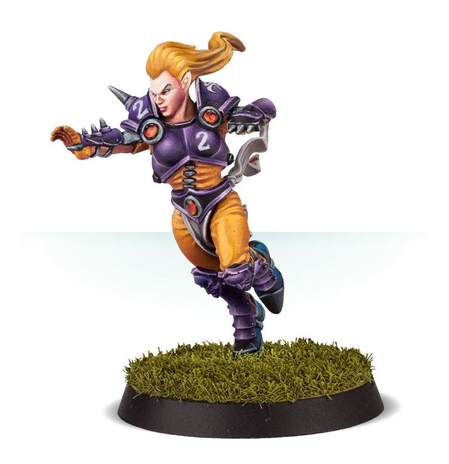 Blood Bowl - Elven Union Blood Bowl Team: The Elfheim Eagles (200-36)