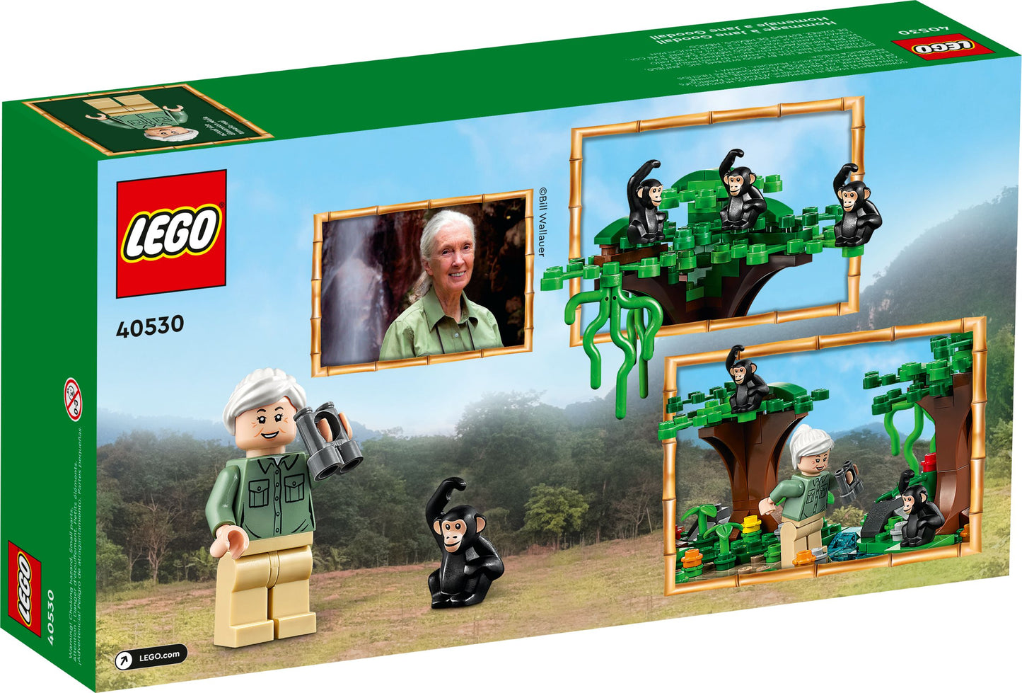 LEGO® 40530 Hommage an Jane Goodall