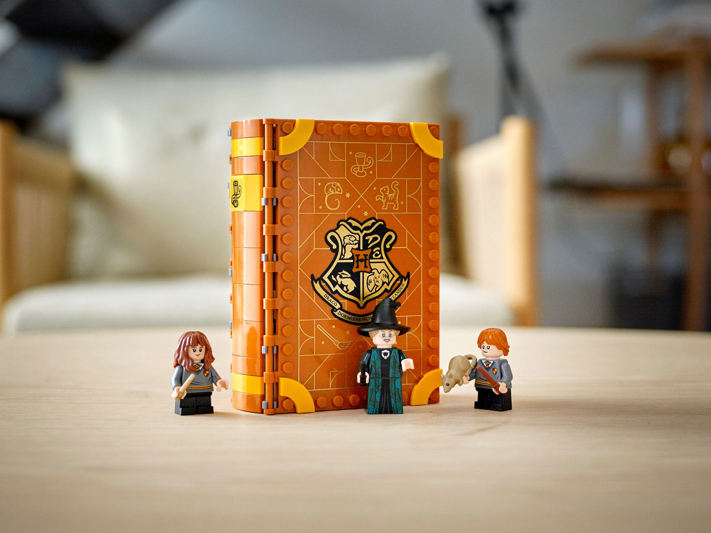 LEGO® Harry Potter 76382 Hogwarts™ Moment: Verwandlungsunterricht