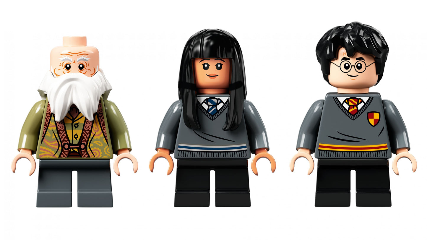 LEGO® Harry Potter 76385 Hogwarts™ Moment: Zauberkunstunterricht